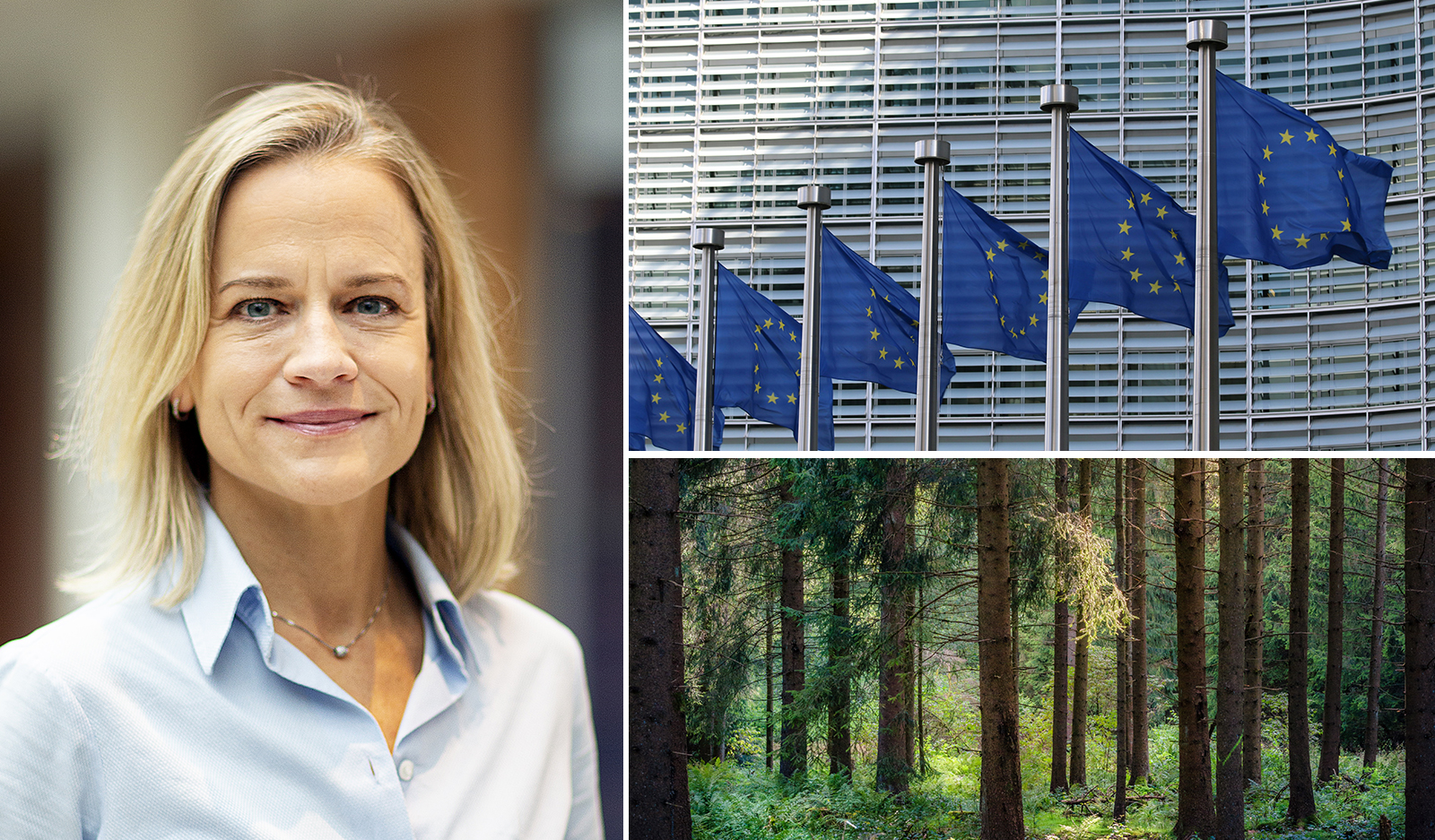Eva Glückman, vd på Grafiska Företagen.